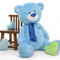 Robert Dustin Campbell Jr.